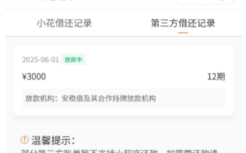 小花钱包第一次用稳吗？我匹配安稳借，3000 元不到半小时到账，利息却让我犯了愁！
