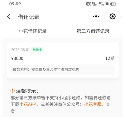 小花钱包第一次用稳吗？我匹配安稳借，3000 元不到半小时到账，利息却让我犯了愁！