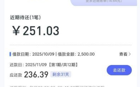 洋钱罐推送的宜享花能顺利下款吗？为啥有人美团微粒贷被拒却在这拿到额度？