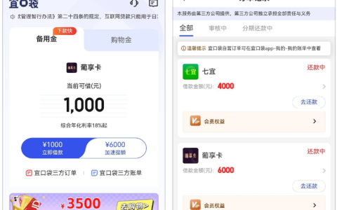 宜口袋第三方借款双下款：葡享卡 6000 元与七宜 4000 元的实际体验