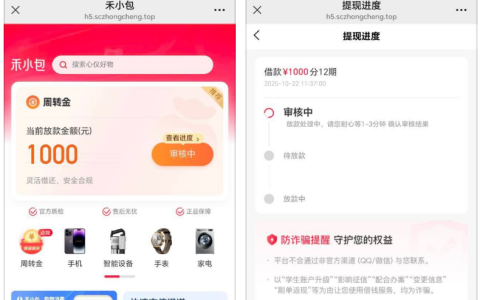禾小包审核页面与好分期高度相似，申请 1000 元周转金遇审核差异