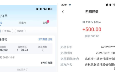 分期乐申请 1000 元被拒后试 500 元成功下款，群里分享技巧助力资金周转