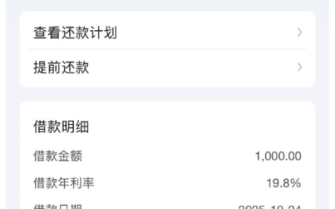 放心借当前被执行状态下成功下款，借款细节和使用情况分享