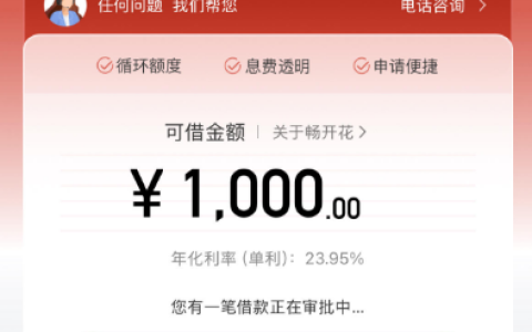长银消费金融畅开花下款 1000，不同用户申请结果差异明显