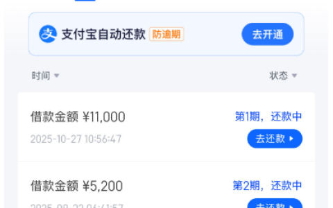 信用飞点 179 元提额卡后 20 分钟到账，本月已成功下款中邮、长银、宜口袋多笔借款