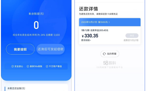 58 好借大半年点借均显 30 天限制，勾选 247 元优享会员后秒下 3500 元