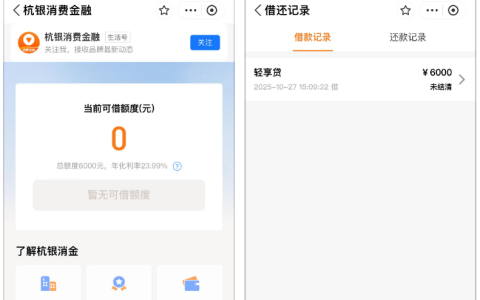 支付宝杭银消费金融秒出 6000 元额度并顺利下款，部分用户遇秒拒或无额度情况