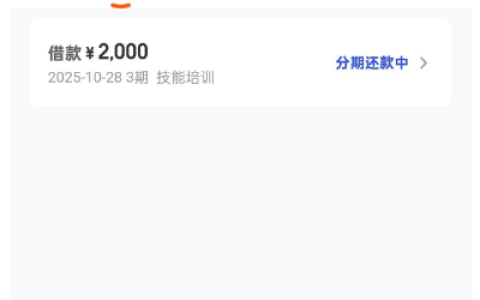 橙心袋（橙心贷）申请 2000 元分 3 期到账，28 号下午申请 29 号早放款，农行卡调限额后转微信