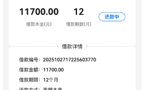 小薪意历时两天下款 11700 元，国民信托放款引会员费争议，多账户高查询仍获批