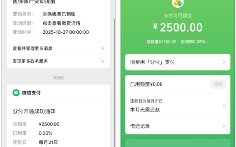 征信有一条记录问题仍在分付下款，聊聊额度使用与群里看到的情况