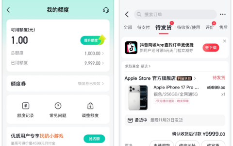 抖音月付卡成功付款 iPhone 17 Pro，说说额度使用与多次尝试的经历