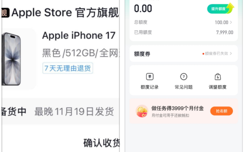 月付额度仅 100，今天却卡成功买了 iPhone17！这些小技巧亲测有用