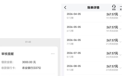 京东金条果然稳！3000 元申请几分钟秒到，12 期利息才两百，还款无压力