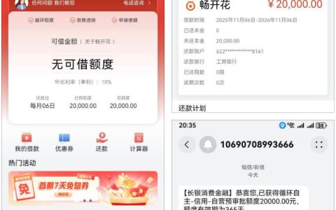 长银消费金融畅开花太顶了！查询多负债四十多，10 多分钟下款 2 万