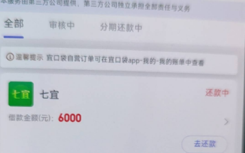 宜口袋七宜下款 6000！查询黑名单也能过？秒扣 500 会员费要留意