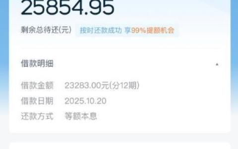 拍拍贷大额下款 2.3 万！半夜三点到账，按时还款还能提额