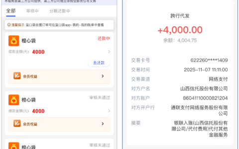 橙心袋 4000 元成功下款！多次申请被拒，接到电话后半小时到账