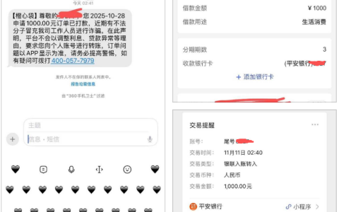 橙心袋 13 天漫长等待终下款！半夜扣款失败关限额，1000 元顺利到账
