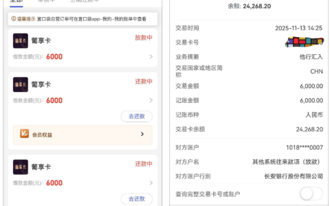 宜口袋下款大爆发！连下四笔共 22000，这些实用细节分享给你