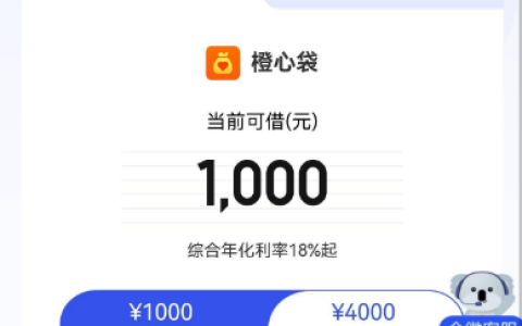 宜口袋能下款吗？要不要开会员？审核是否打联系人电话？实测经验分享