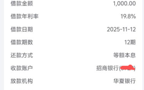 放心借出小黑屋后果断申请，1000 元秒下 12 期还款，年利率 19.8% 实测可行