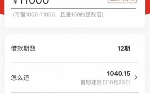 众利分期使用体验：最高 20 万额度可分 12 期还款，线上申请流程简单，审核放款高效，这些细节要提前留意