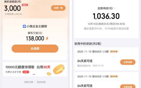 京东金条多年申请未通过？白条仅 100 额度，还款后意外解锁 3000 额度，1000 元分 3 期顺利下款