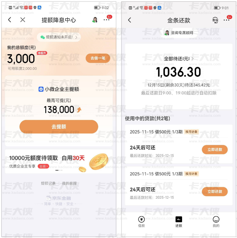 京东金条多年申请未通过？白条仅 100 额度，还款后意外解锁 3000 额度，1000 元分 3 期顺利下款