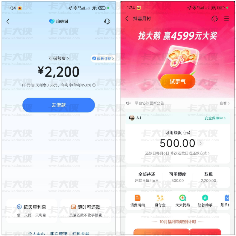 抖音放心借征信逾期也能批？两条逾期 200 多天未还，仍获 2200 元借款额度 + 500 元月付额度