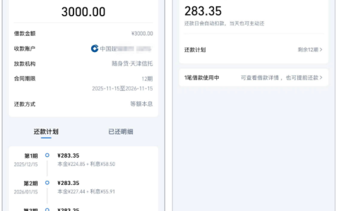 淘宝随身贷两次申请未果后终获通过：3000 元信托资方秒到账，12 期等额本息还款无压力