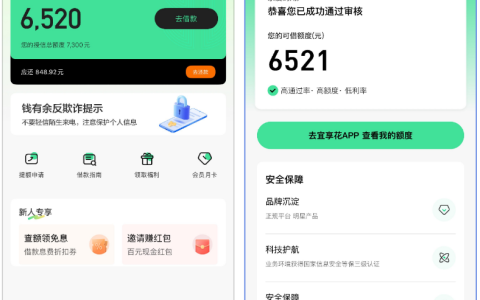 钱有余审核通过斩获 7300 元授信额度：可借 6521 元需跳转宜享花 APP，低利率 + 等保三级认证，新人福利诚意满满