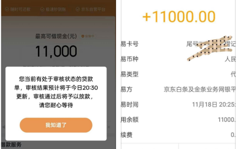 京东金条下款实测：11000 额度审核几分钟极速到账，大厂靠谱度拉满，利息及额度变动情况全解析