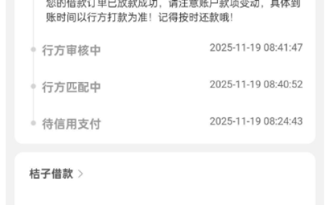 安逸花时光分期申请失败？桔多多 9900 元顺利下款，这些申请与还款细节要留意
