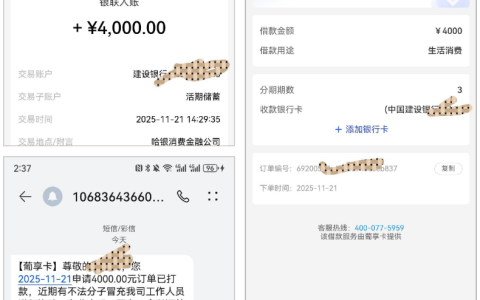 宜口袋葡享卡实测下款 4000 元！399 元会员费到账秒扣，哈银资方加持 + 近两月多平台陆续放款