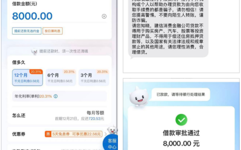 建信 App 秒拒后逆袭！征信小花 + 三无资质随缘申请 8000 元秒下，年化 20.31%+ 免息券实测