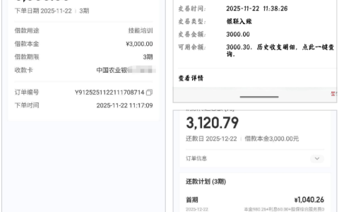 宜口袋 3000 元申请显示 “行方审核中” 稳吗？21 分钟快速到账实测，3 期还款明细及通过率揭秘