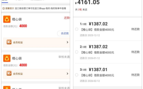 橙心贷开会员下款实测：小逾期也能拿到 4000 元，这波操作靠谱吗？​