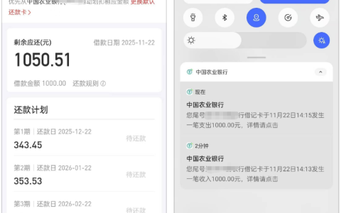 好分期实测下款 1000 元！秒批到账无卡顿，征信要求及申请避坑点全梳理