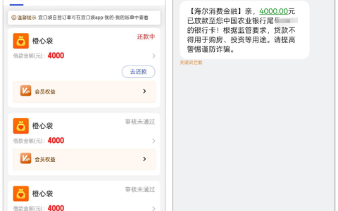 坚持 23 天每天三推！橙心袋 4000 元终到账，海尔消费金融放款，转微信避开 399 会员费