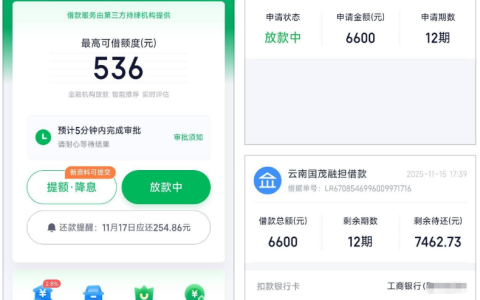 原 360 借条更名奇富借条！征信小花也能批，最高 20 万额度 + 最快 5 分钟放款，申请流程超简单