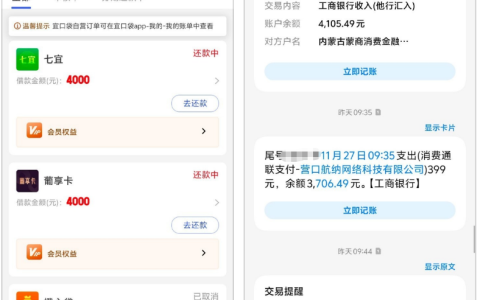 宜口贷 - 七宜下款实测！轻微征信花也能稳批，最高 20 万额度 + 会员开通技巧，换时段申请成功率翻倍