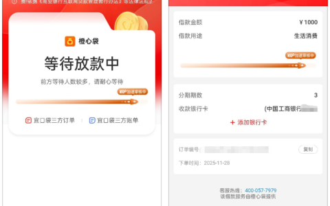 橙心袋借款 1000 元放款中一天稳吗？VIP 加速审核 + 宜口袋三方订单实测分享