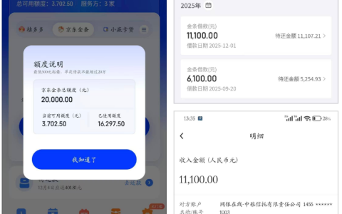 查询多负债高 + 历史逾期结清也能下？天星借钱跳出京东金条 20000 额度，11100 元秒到账实测