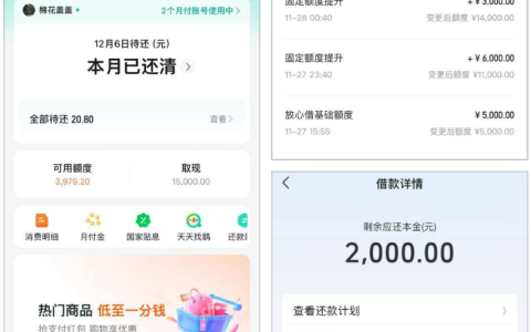 征信有大量逾期 + 90 天以上逾期记录也能下？放心借秒批 17000 额度，认证微信账单 2000 元秒到账实测