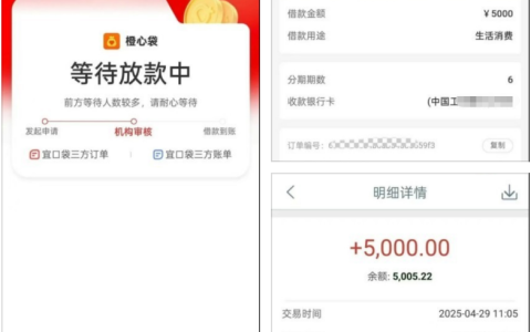 桔多多旗下橙心袋下款表现亮眼？最高 20 万额度支持 12 期分期，会员先用后付提升通过率实测