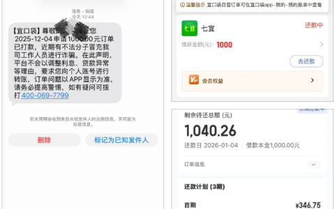 宜口袋下款 2 笔实测：征信 3 个当逾半年多仍放款，1000 元分 3 期还款详情