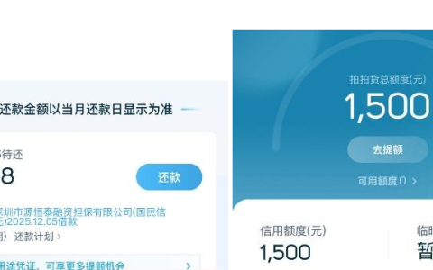 拍拍贷匹配借款下款实测：秒出 1500 额度，国民信托放款三小时到账