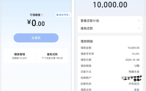 放心借 10000 额度提现秒到！年利率 14.4%，年底应急下款实测