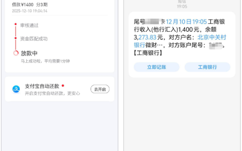好分期复借 1400 元一分钟到账 分期期数选择及放款实测分享