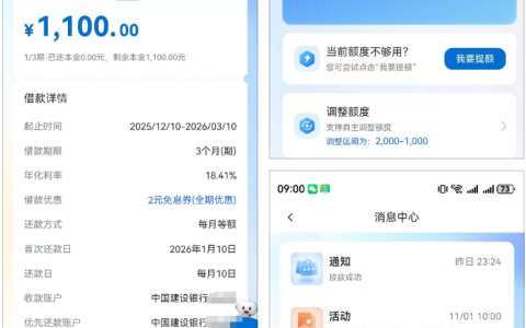 建信福袋试无数次下款 1100 元 月查询 50 + 无逾期 额度及借款详情分享